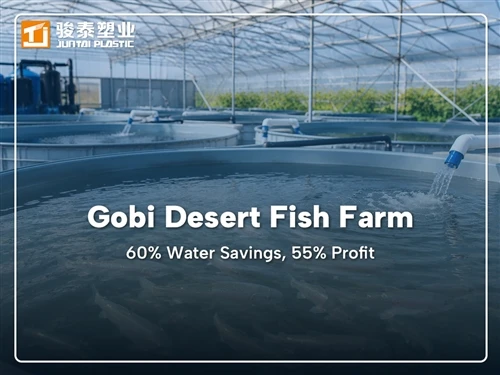 MBBR Biofiltracija moće Desert RAS: 82.600 RMB profita i 60% uštede vode Uzga...